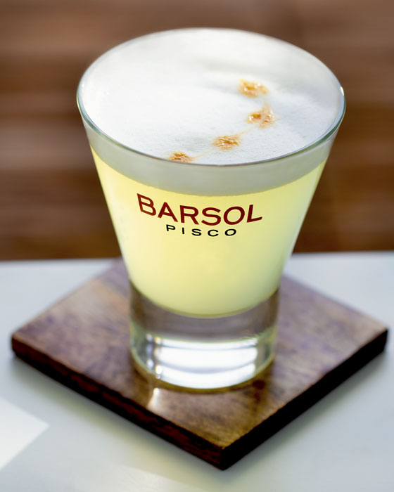 Pisco Sour Cocktail - Ruhlman